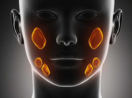 Sjogren's Disorder Diagram